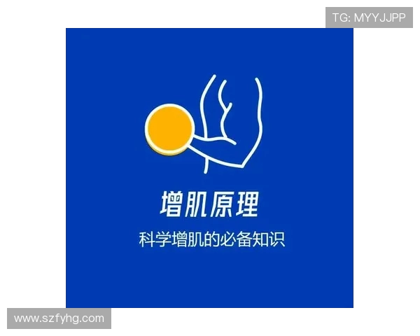 全面提升身体素质打造健康体魄的高效科学健身训练指南