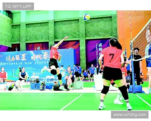 成都排球队技术深度解析与发展现状探讨