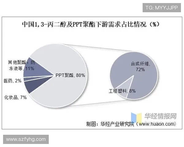 杭州足球队技术分析与战术创新的深度探讨与展望