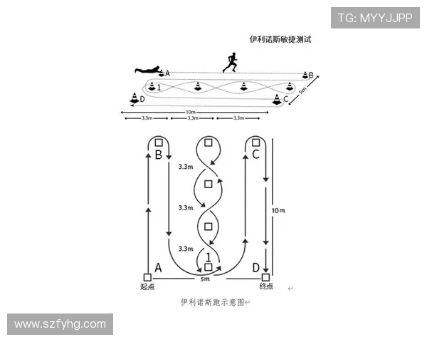 武汉飞盘队灵活性分析与表现评估探讨
