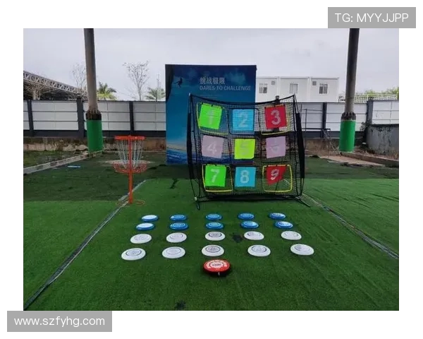 滑板精英赛分析：北京飞盘队战术运用与表现评估