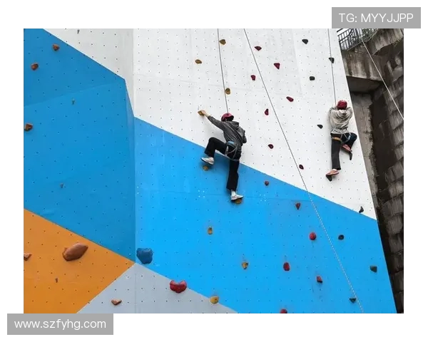 西安攀岩队意识对比研究探讨团队协作与个人表现的关系 西安攀岩队意识对比研究探讨团队协作与个人表现的关系