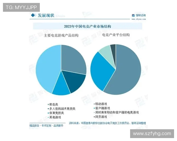 电子竞技行业的崛起与发展：探讨电竞赛事、职业选手及粉丝文化的多维影响