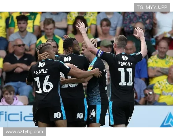 博尔顿与诺维奇激战成和比分揭晓精彩瞬间回顾